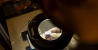 University of Washington launches new Master of Science in Robotics