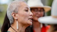 Green Party vows to repeal DoC economic requirement in Conservation Amendment Bill