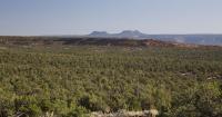 Old legal fights revived against new cuts to Utah monuments