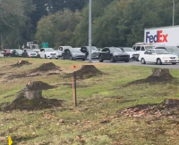 What happened to the trees on Bothell Everett Highway? Construction, but don’t worry; they’ll be replanted