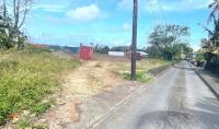 Zoning Board’s role and enforcement authority question by lawmakers