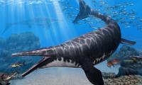 EXCLUSIVE INTERVIEW: Newly Discovered Mosasaur Species Reveals Secrets of Egypt’s Late Cretaceous Seas