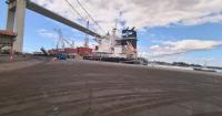 ‘We aren’t eating SA’s lunch,’ says Maputo port CEO