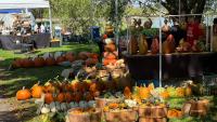 Welcome Mat: Fresh art and fall events coming to the area