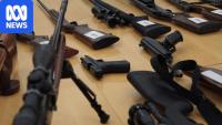 NSW Liberals pledge to scrap gun buyback amid election countdown
