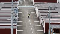Asian Games: 2000 Indians ready to accommodate athletes after hotel crisis