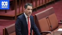 Senator Alex Antic wins SA Liberal presidency