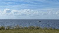 Martin County health officials warn of harmful algae near Lake Okeechobee