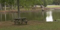 Public dispute over Harrison County parks puts focus on past credit card use