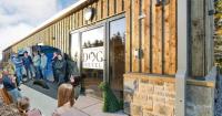 Welsh study group learn farm diversification at Northumberland Dog Hotel