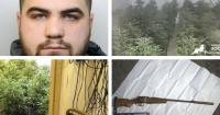 Member of crime group jailed for nine years after rifle and cannabis farm found
