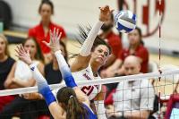 Arkansas volleyball sweeps Arkansas State to extend match win streak to 5