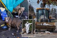 Deadly rat urine disease linked to infested RV after hazmat crews swooped on massive California tent city
