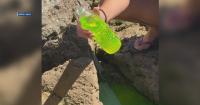 Green Dye confirms wastewater connection between beach park restrooms and Sharks Cove