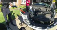 Video shows police removing python from grill of car in New Jersey