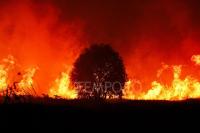 Prabowo: Malaysia Offers Assistance in Response to Kalimantan Forest Fires
