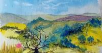 York town art auction adds new artist to raise funds for Gaza care