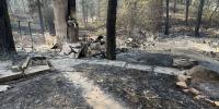 FEMA denies portions of Colorado’s disaster declaration request: what to know