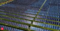 Solar panels did more than generate power in a French nectarine orchard: positioned horizontally during frost, they kept buds up to 1.9°C warmer and cut damage to below 10%