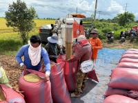 Cambodia Sets $200 Million Credit Package to Help Rice Mills Buy and Store Paddy