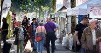 'Our streets and public spaces are a disgrace - a tourist tax won't help'