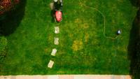 Gardening experts reveal their helpful tips for reviving your heatwave-damaged lawn