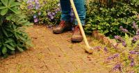 Gardeners urged to carry out maintenance jobs 'while it's still warm'