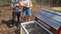 Backyard chicken rental spreads to 30 states, letting families rent hens for the season, keep the eggs, and adopt them later