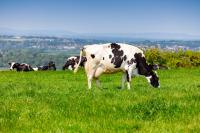 How communication can help bridge the divide between farmers and landlords