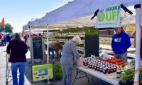Michigan-born SNAP program turns $20 into $40 of produce at farmers markets