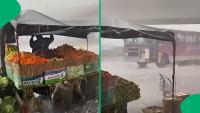"Please be safe": Heavy hail batters outdoor fruit market as vendor protects fresh produce, SA moved