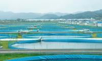 China's farmed caviar eases pressure on wild sturgeon