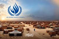 NGOs Raise Human Rights Concerns Over Tindouf Camps at UN Council