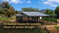 Zimbabwe braces for possible return of severe drought