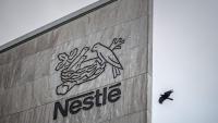 Putin targets Nestle and Auchan: Why Russia has taken control of their assets