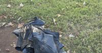 University of Alabama students come together to clean the riverbanks