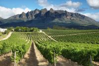 Wellington, South Africa: A Peaceful Cape Winelands Base for Wine, History and Bainskloof Pass