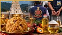 Tirupati Laddu Row: Prasadam ghee made from palm oil, chemicals, says ED; arrests ghee company owner