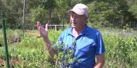 SFA Gardens, Moody Gardens partner to research climate-resilient plants for Texas coast
