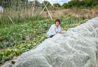 The new Grow Cambridge Community Farm takes root