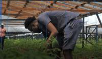 Government targets production costs, market access to ease food prices – Mid-Year report