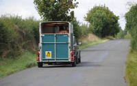One in nine used horsebox and trailer checks uncovers theft, fraud or financial irregularities