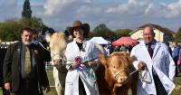 Historic Gransden Show returns with livestock, vintage tractors and rural fun