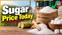 Sugar Price Today September 19: Government eases cap as prices fall 10%; Check latest sugar prices in Delhi, Mumbai, Bengaluru and other cities