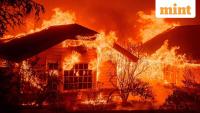 Our house is on fire: Why we should fear climate change more than an AI apocalypse