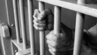 Warrant finds Naples woman in Arizona, accused of poisoning dogs