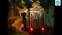 Environmentalist seeks fresh DPR, clearances for Kukrail night safari