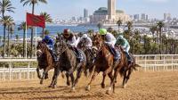 17 horses vie for UAE President’s Cup Title in Morocco