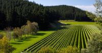 Visit this scenic part of New Zealand as part of a luxury cruise