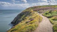 'One of most beautiful walks in Ireland' with idyllic coastal and clifftop views